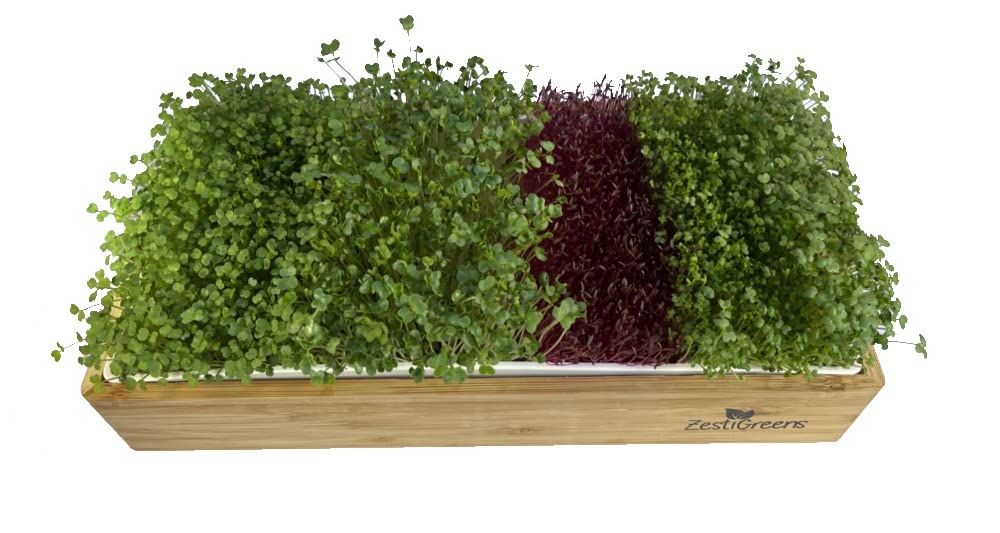 Microgreens Growing Kit, 4 Seed Mats & Microgreens Refill (Broccoli, Mixed Salad, Chia & Red Amaranth Organic Microgreen Seeds)