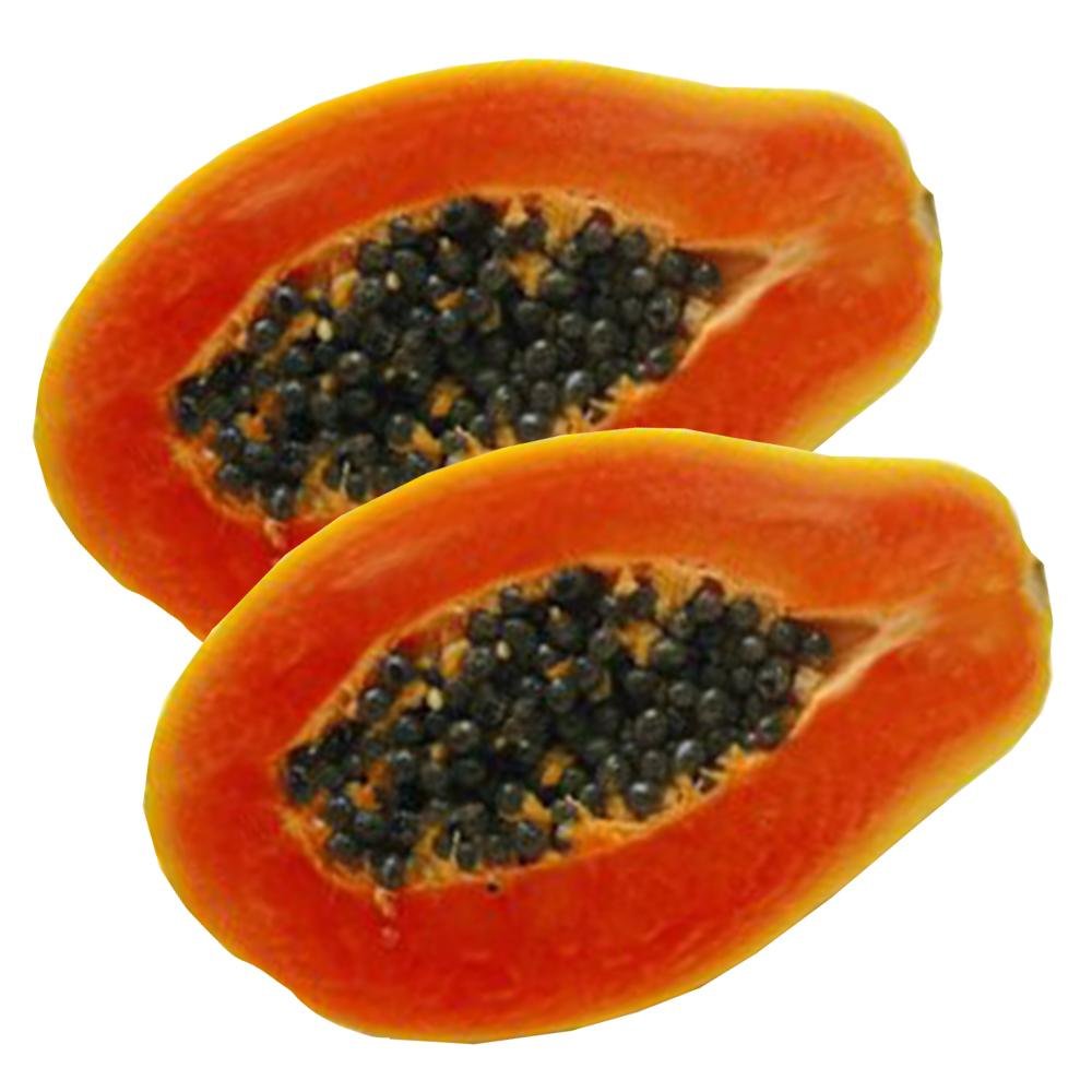 Florida Red Royale Papaya Seeds (Carica papaya) 5+ Non-GMO Fruit Tree Seeds in FROZEN SEED CAPSULES for The Gardener & Rare Seeds Collector - Plant Seeds Now or Save Seeds for Years