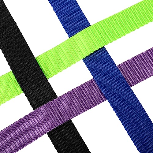 Alainzeo 4 Pack Nylon Dog Collars, Classic Adjustable Pet Dog Collar for Small, Medium and Large Dogs, S(Black, Blue, Red, Purple)