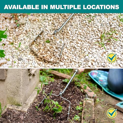 Berry&Bird Swoe Garden Hoe, 61.8'' Stainless Steel Long Handled 3 Edge Hoe with Wooden Hand, Mini Angled/Warren Hoe, Soil Cultivator Weeding Tool for Grass Flower Backyard