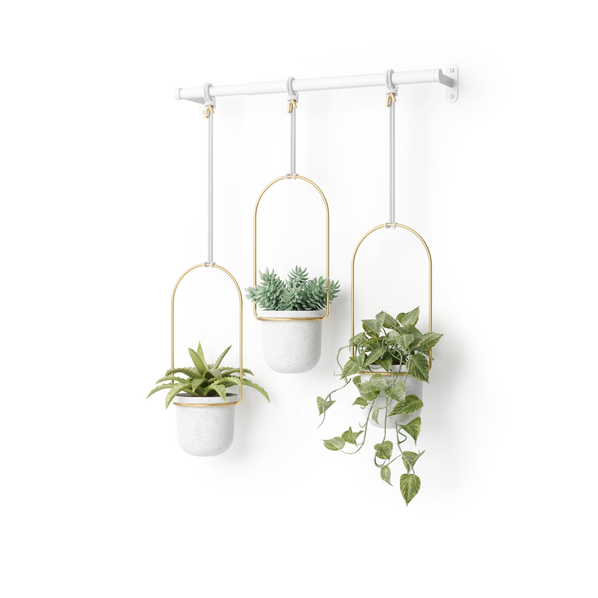 Umbra Triflora Hanging Planter for Window, Indoor Herb Garden, Set of 3, White/Brass