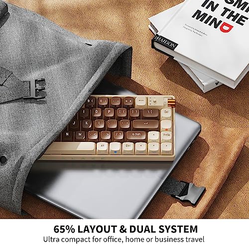 ROYALAXE 60 Percent Wireless Mechanical Keyboard, Gateron G Pro 3.0 Yellow Switch, Hot Swappable Wired/Bluetooth/2.4G Wireless Keyboard with RGB Light for Windows & Mac, PBT Keycaps, Lava Brown