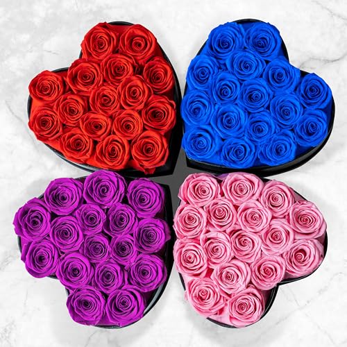 Childom Birthday Gifts for Women,7Pcs Preserved Blue Roses for Her in a Box,Preserved Fresh Rose Flower Gifts for Her,Christmas Rose Gifts for Women,Rose Gifts for Anniversary,Thanksgiving,Christmas