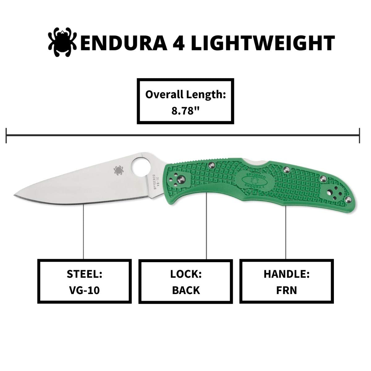 Spyderco Endura 4 Lightweight Signature Knife with 3.80" VG-10 Steel Blade and Green FRN Handle - PlainEdge - C10FPGR