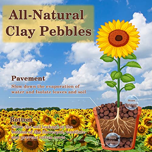 Legigo 2 LB Organic Leca Clay Pebbles for Plants, 4mm-16mm 100% Natural Leca Balls for Indoor Plants, Hydroton Clay Pebbles for Plants Hydroponic Aquaponics Growing Orchid Drainage Terrarium
