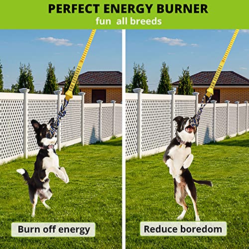 HOKINETY Dog Hanging Bungee Tug Toy: Interactive Tether Tug-of-War for Pitbull Small to Large Dogs to Exercise and Fun Solo Play - Durable Retractable Tugger Dog Rope Toy with 2 Chew Rope Toys