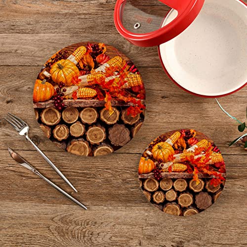 Autumn Trivets for Hot Pots Pans,Fall Pumpkins Hot Mats Pads for Kitchen Heat Resistant, Thanksgiving Decorative Counter Tops Dining Washable Pot Holder Coasters Set