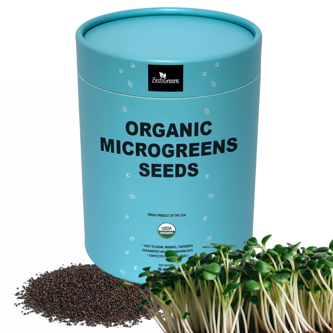 Superfood Microgreen Seeds Mix x 1lb. Non GMO Organic Broccoli, Kale, Kohlrabi, Arugula & Cabbage Seeds in Food Grade tin for Easier scooping & Keeping Fresher.