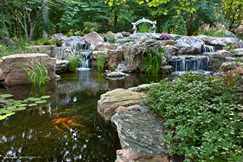 Aquascape MAINTAIN Automatic Dosing System Water Treatment for Pond, 32 oz/946 ml | 96032