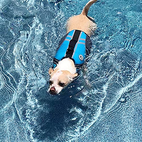 VIVAGLORY Sports Style Dog Life Jacket with Adjustable & Durable, Extra Flotation Swim Life Vest with Secure Fastening System for Small Dogs, Blue