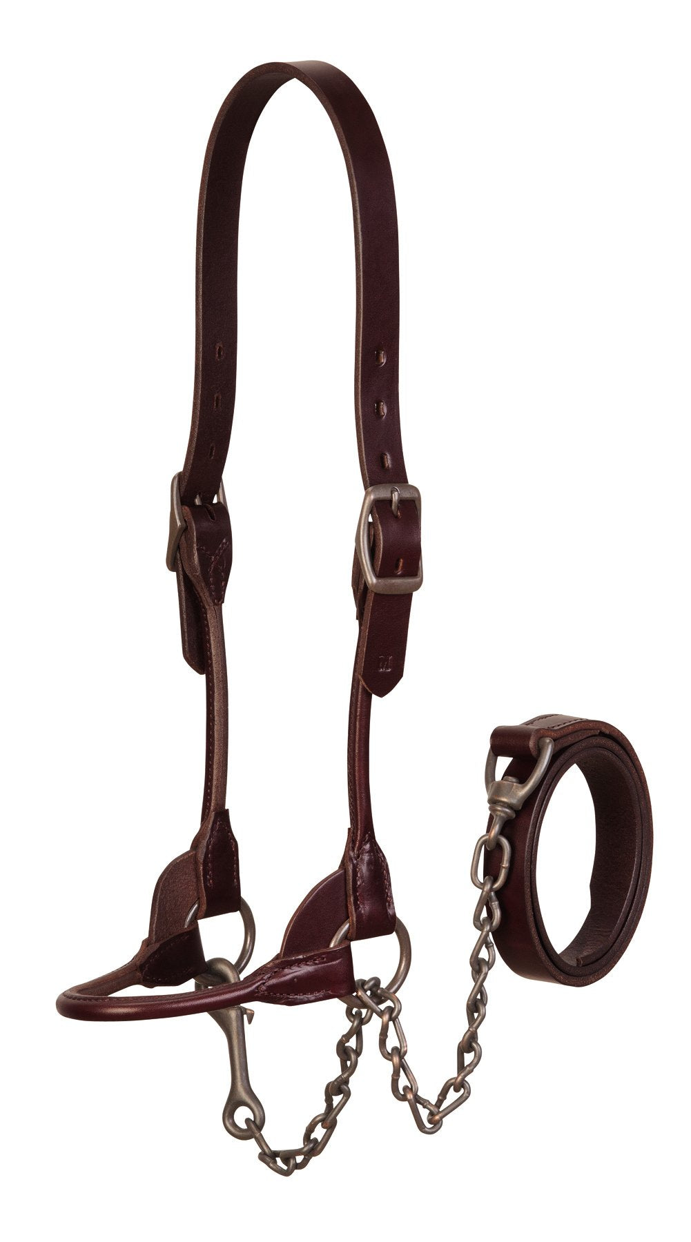 Weaver Leather Livestock Bombshell Show Halter, Brown, Large