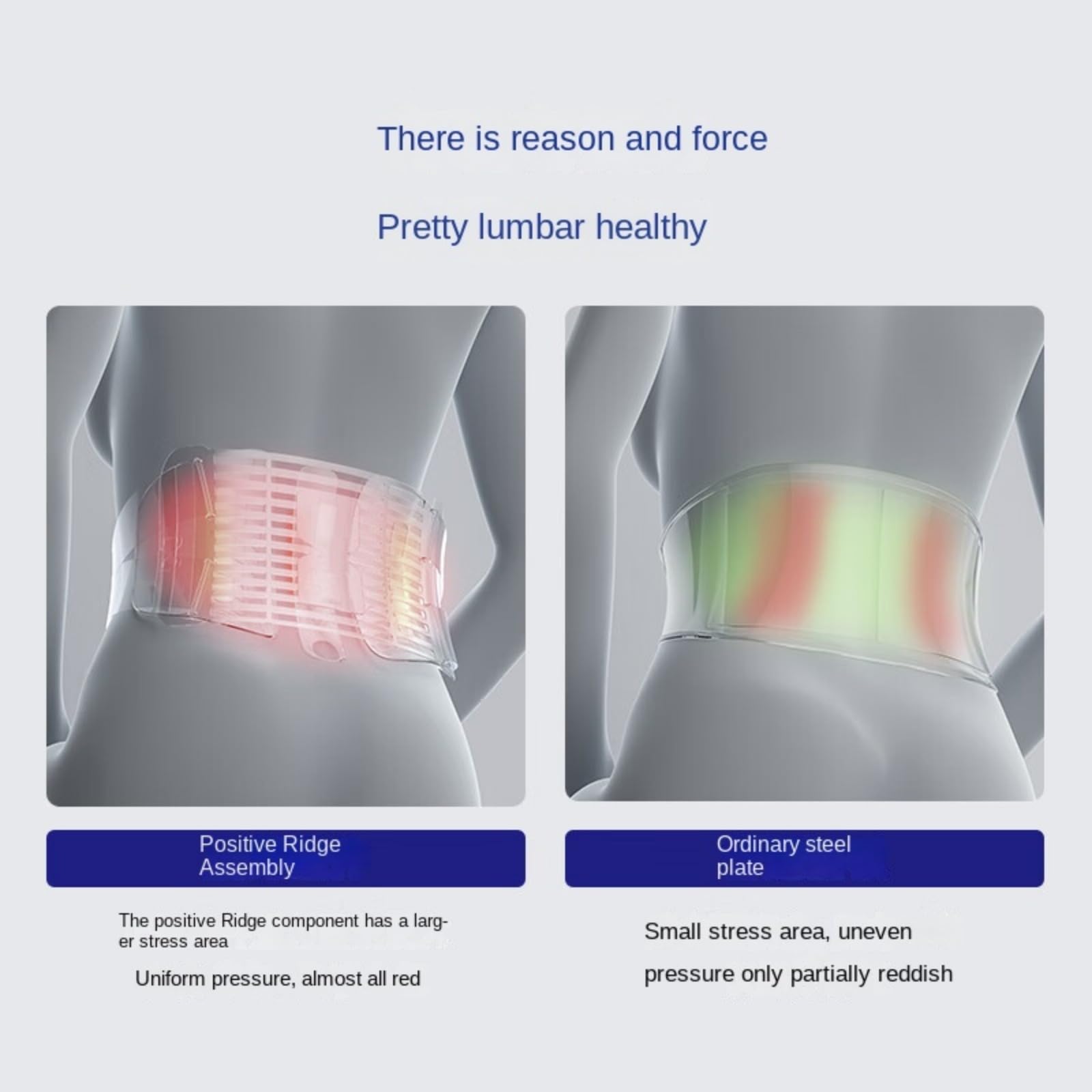 Back Brace for Lower Back Pain - Lumbar Support Belt for Men & Women for Sciatica, Herniated Disc, Scoliosis