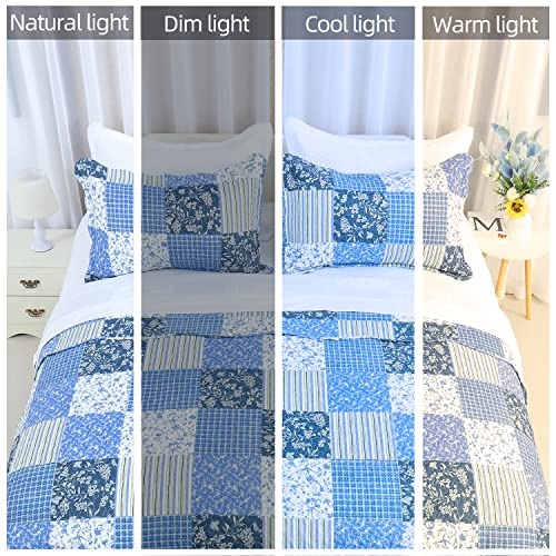 Cmfshape Summer Floral King Quilted Bedspread,Romantic Pink Quilt Set,Reversible Stitched Bedding Cover All Season,Soft Lightweight Coverlet with Pillow Cases (Red&White, King(102"x90"))