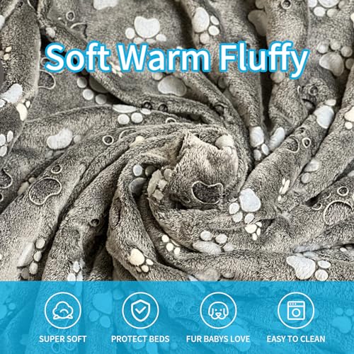 Glow Waterproof Dog Blanket, Pattern Printing Super Soft Warm Fluffy Facecloth Sofa Car Bed Protector, Urine Proof Washable Outdoor Pet Blanket for Puppy Large Dogs & Cats(paw40*30)