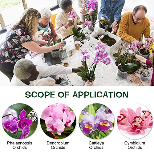 Kitypartsy Orchid Pot, 5 Inch 6 Pack Orchid Pots with Holes and Saucers, Clear Plastic Orchid Pots