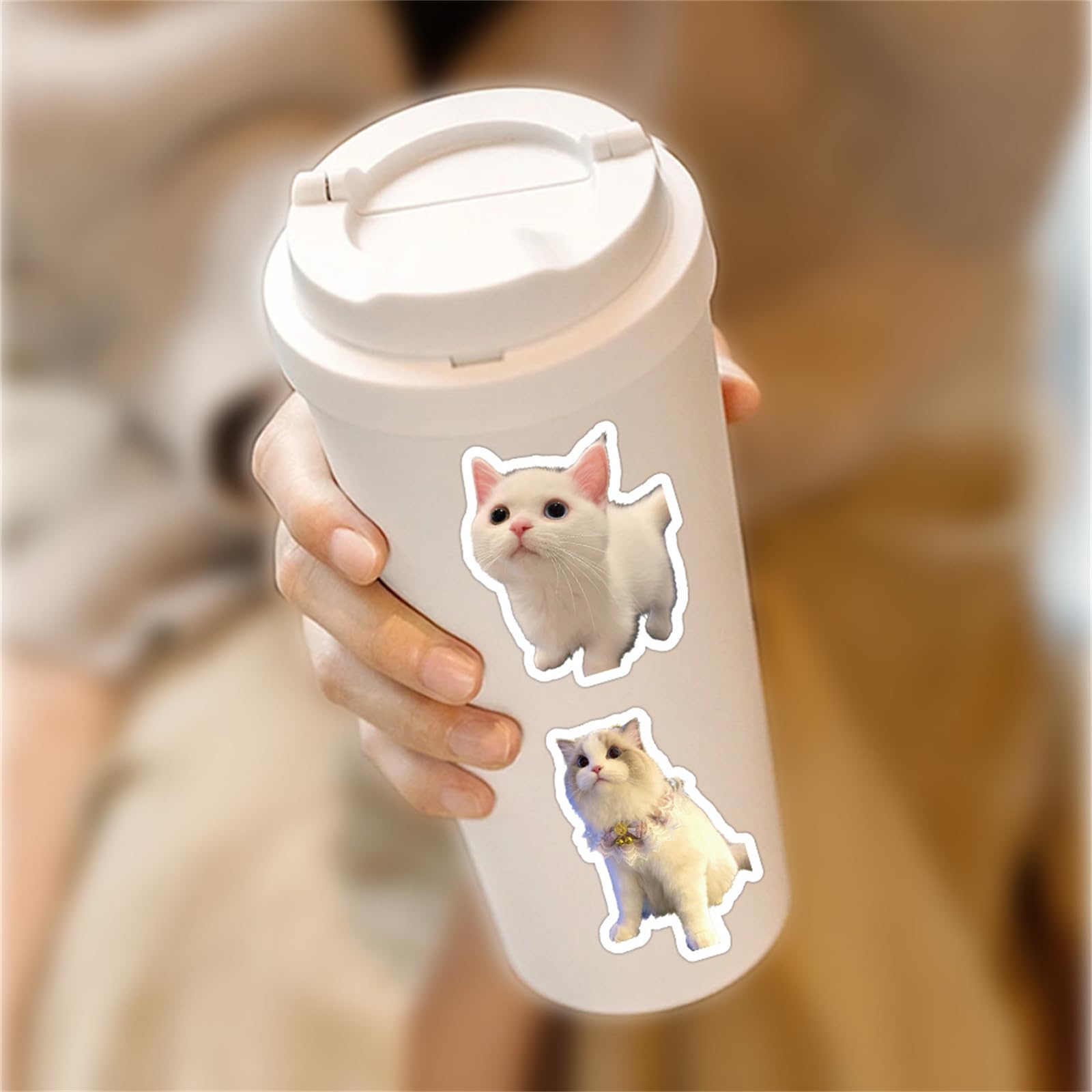 56 PCS Cute Cat Stickers for Kids, Funny Stuff Water Bottle Stickers for Laptop Vinyl Classroom Prize, Cute Things Birthday Gifts Cute Stuff for Boys Girls Adults Teens (Cat)