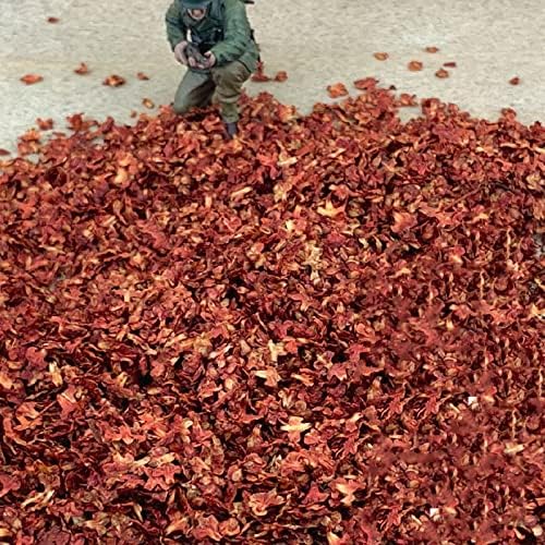 Warmtree Realistic Miniature Leaves Simulation Leaves for DIY Mini Model Railway Fairy Garden Architecture Diorama Scenery Landscape Layout Diorama Halloween Village Accessories, Pack of 4