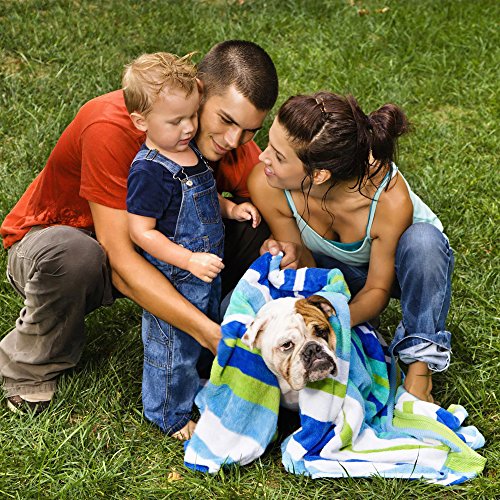 Portable Dog Pool for Large Dogs - Foldable Plastic Bathing Tub with Drain and Carrying Bag for Pets and Backyard Play with Kids by PETMAKER (Blue)