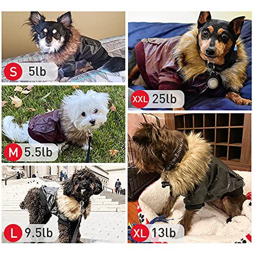 LESYPET Dog Leather Jacket for Small Dogs, Small Dog Jacket Dog Coat Double Layer with Warm Fleece Lined for Small Dogs Puppy Cat, Black Small