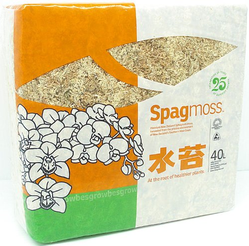 besgrow Premium New Zealand Sphagnum Moss, 500g (40L When Hydrated) - Harvested Sustainably from The Pristine West Coast of New Zealand's South Island