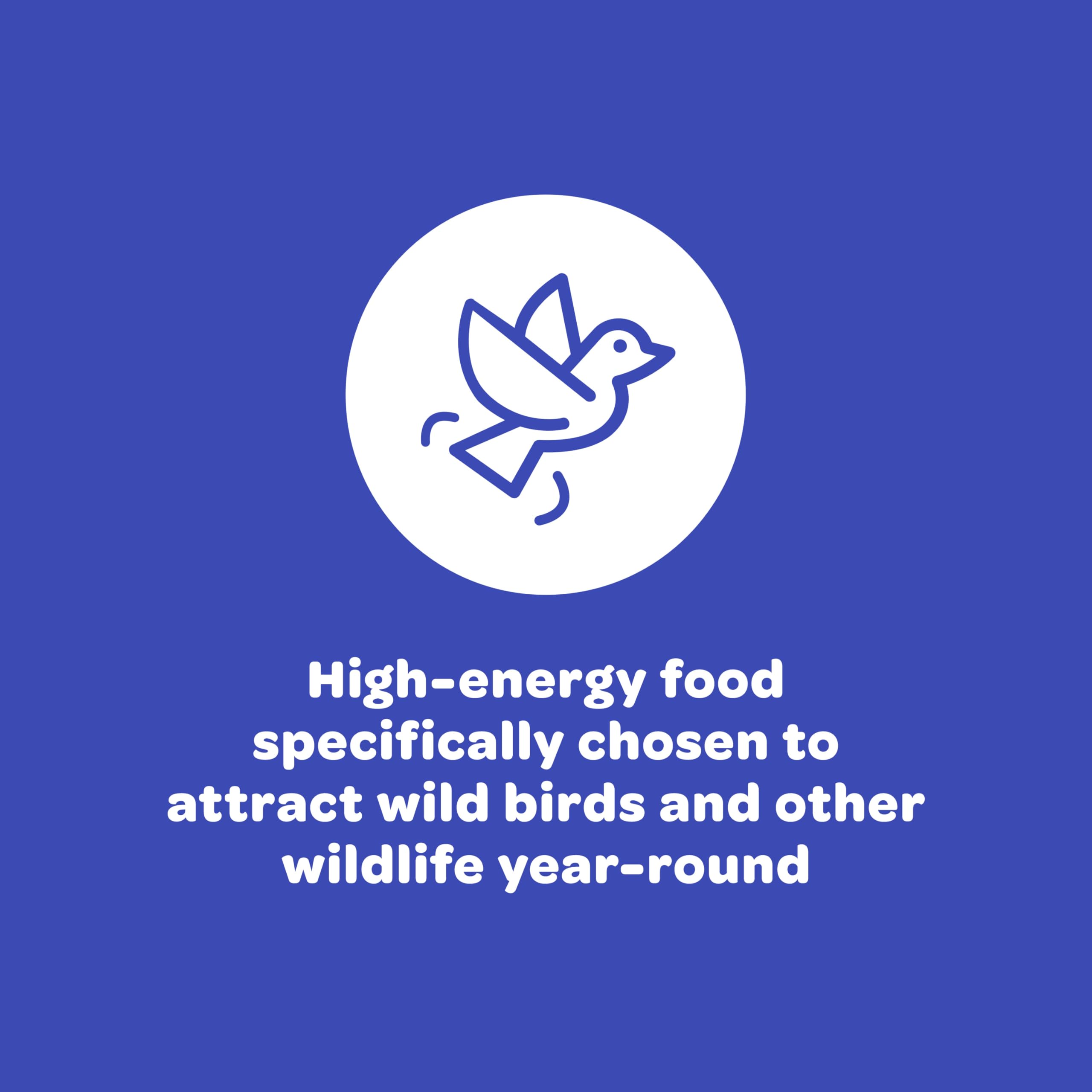 Kaytee Raw Peanuts in Shell for Squirrels, Woodpeckers, Nuthatches, Jays, Towhees, Cardinals, Indigo Buntings, and Other Wild Birds, 5 Pound