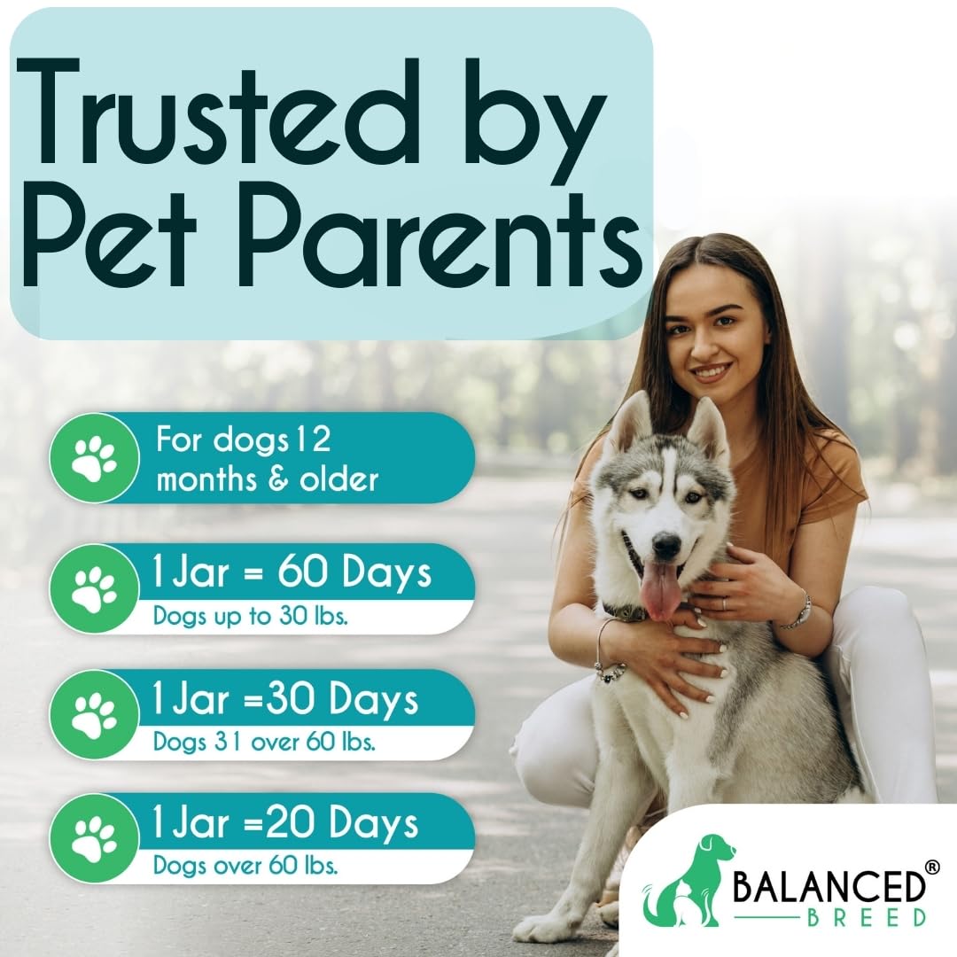 Balanced Breed Veterinarian Pharmacist Approved Pet Probiotics Dogs Digestive Health Natural Dog Probiotics Chew Dogs Itchy Skin Itchy Ears Enzymes Anti Diarrhea Senior Dog Probiotic Chews Made In USA