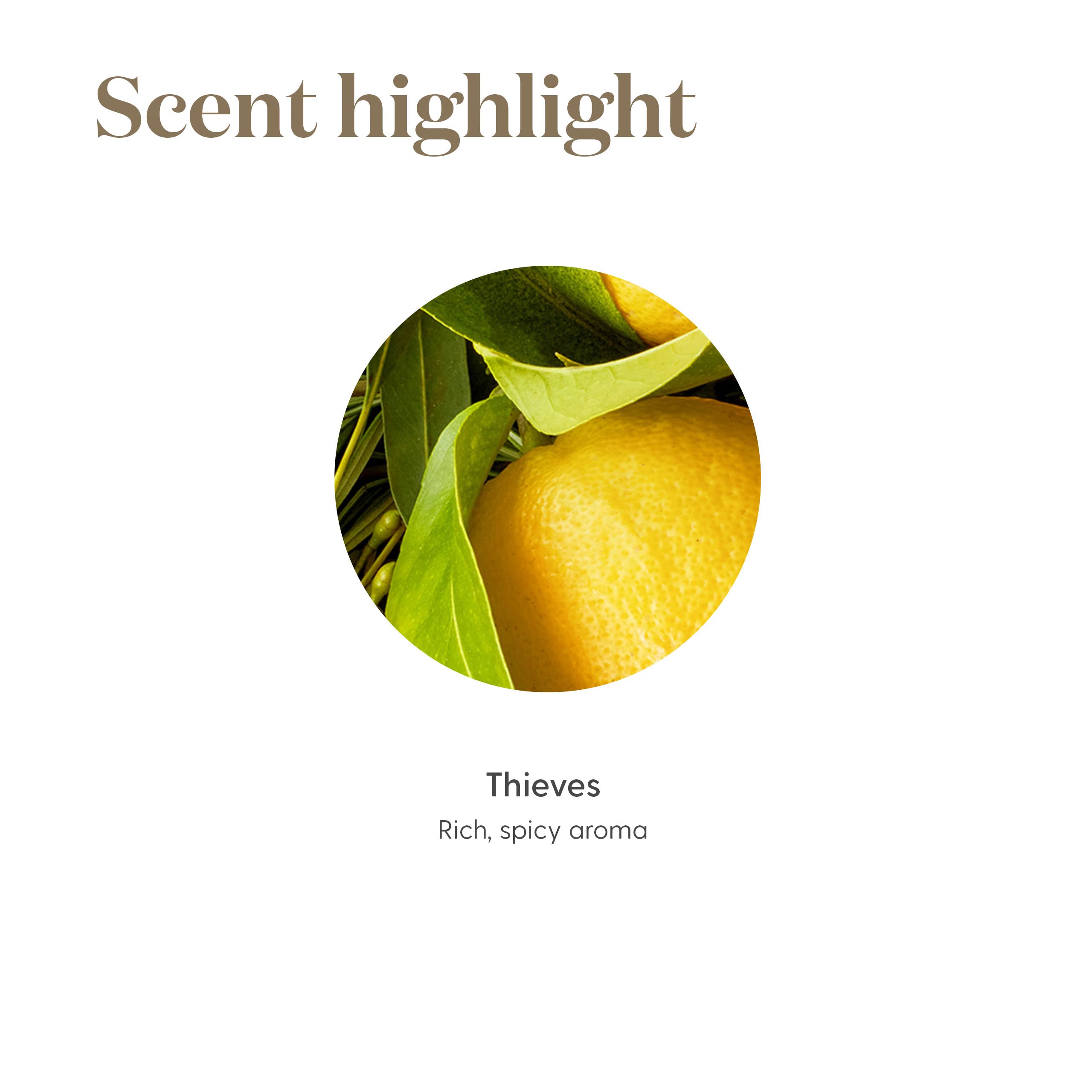 Thieves Essential Oil Blend by Young Living, 15 Milliliters | Topical and Aromatic | Vegan & Gluten-Free | Aromatherapy Diffuser | Natural & Organic Premium Oils