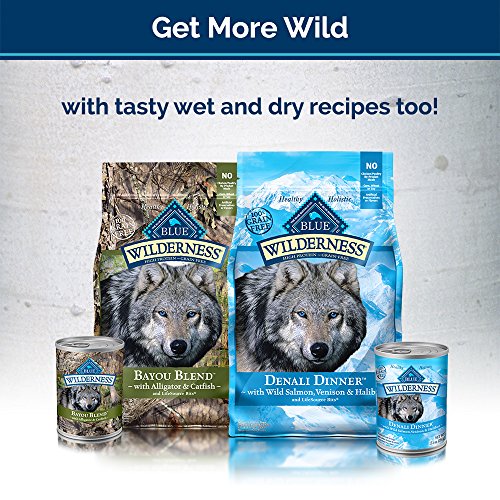 Blue Buffalo Wilderness Denali Biscuits High Protein Grain Free Crunchy Dog Treats, Wild Salmon, Venison, & Halibut 8-oz bag