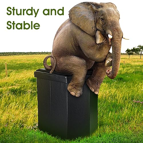Portable Toilet for Adults, XL Portable Toilet for Camping, 16.5'' Camping Toilet with Lid, Camp Toilet with Handbag, Travel Potty for Camping, Hiking, RoadTrip, Car, Tent, Truck Drivers