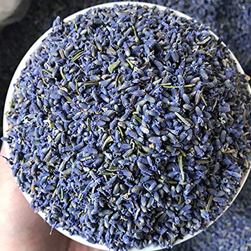 CoolCrafts Dried Lavender Flowers, Bulk Wholesale Fragrant Lavender for Wedding Toss, Crafts, Sachets - 1 Pound