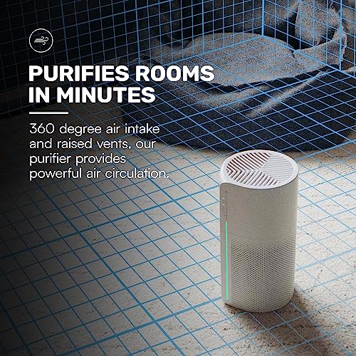 Raycon Room Air Purifier, H13 Replaceable HEPA Filter, Air Quality LED Indicator, Adjustable Fan Speeds, Home Essentials (White)