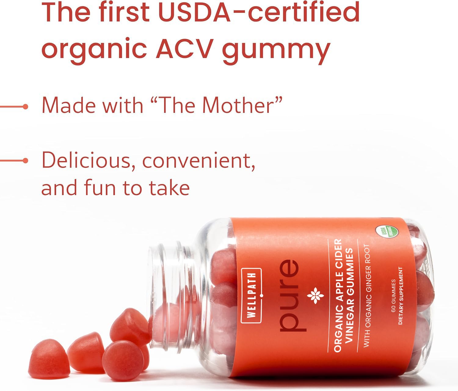 WellPath Organic Apple Cider Vinegar Gummies with The Mother - USDA Organic ACV Gummies - Ginger & Apple Cider Vinegar with Mother for Gut Health - Vegan, Non-GMO, 60 Ct by Pure