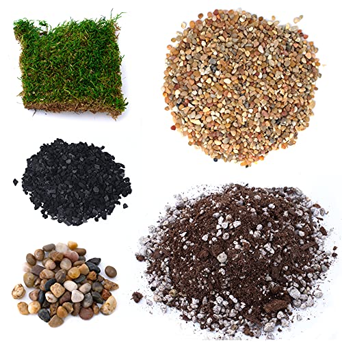 TerraGreen Creations Succulent Planter Kit - Terrarium Kit with Succulent Soil, Gravel, Pebble, Moss,
