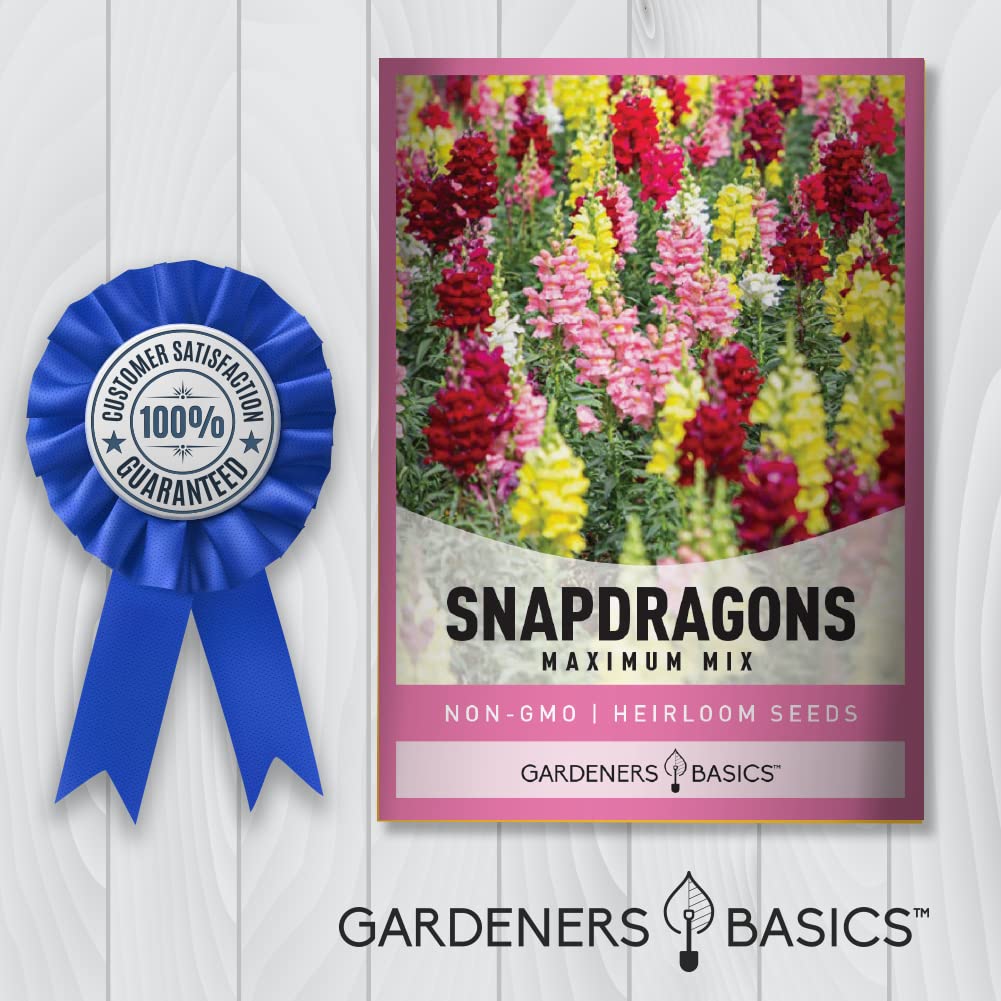 Gardeners Basics, Snapdragon Seeds for Planting (Maximum Mix Snap Dragon) Annual Flower Heirloom, Non-GMO Variety- 400mg Seeds Great for Summer Seeds for Gardening Flowers Gardens