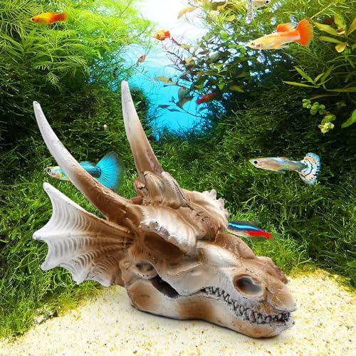 DUZFOREI Reptile Hideouts Terrarium Decor, Aquarium and Fish Tank Decorations Fish Tank Accessories Reptiles Hideout Habitat Aquarium Decor (Dragon Imitation Skull Model)