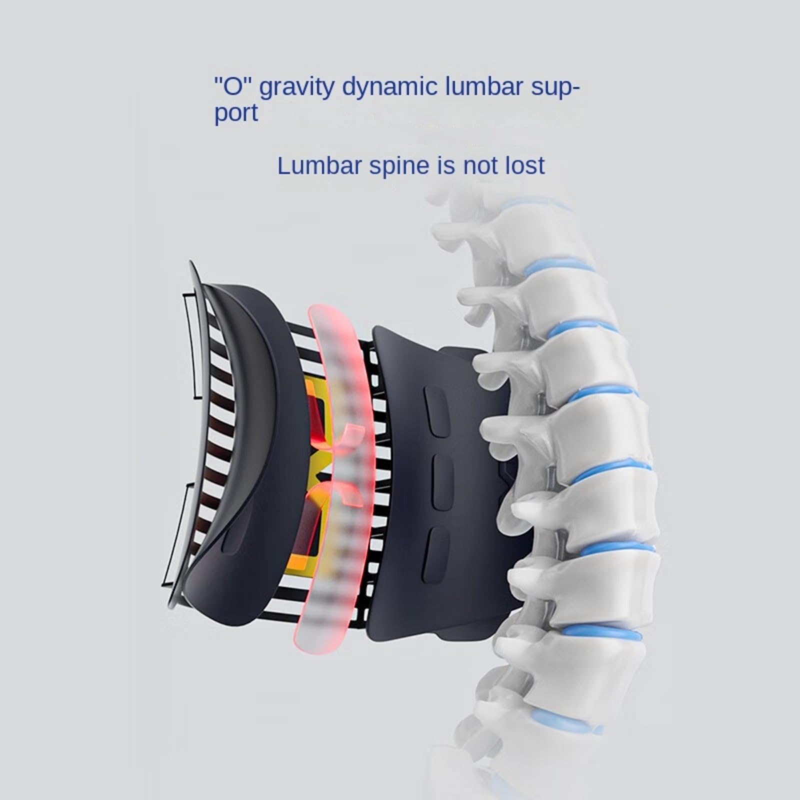 Back Brace for Lower Back Pain - Lumbar Support Belt for Men & Women for Sciatica, Herniated Disc, Scoliosis