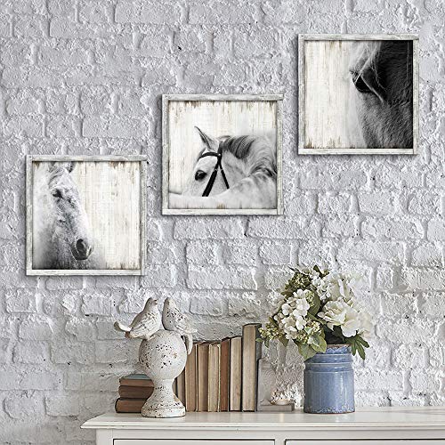 Horse Portrait Wall Art Framed - Modern Black White Animal Pictures Painting Wood Artwork Decor for Bedroom