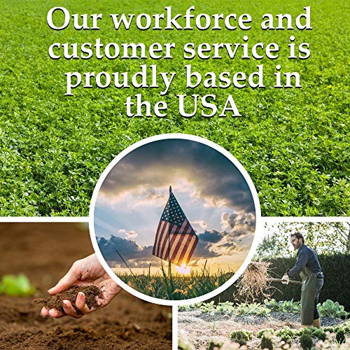 Legume Powder Inoculant - Cover Crop Seed Inoculant for Legume Seeds - 1 Oz Bag - Powder Rhizobia Inoculant for Cover Crop Hairy Vetch, Lentil Seeds, Fava Beans, Broad Bean, Garden Pea, and Field Peas
