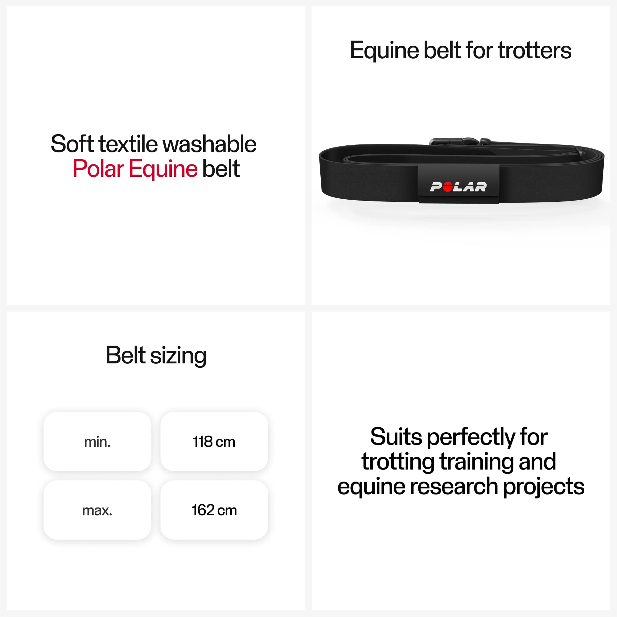 POLAR Equine H10 Heart Rate Sensor for TROTTERS