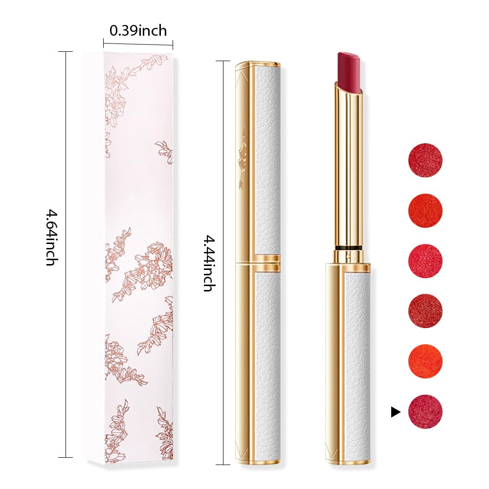 BINGBRUSH Moisturizing and Silky Velvet Lipstick Pack Set, Matte Longwear Waterproof Smooth Color Lip Crayon - Nourishing Lipstick Lipgloss Lip Stain (06#Cherry cider)