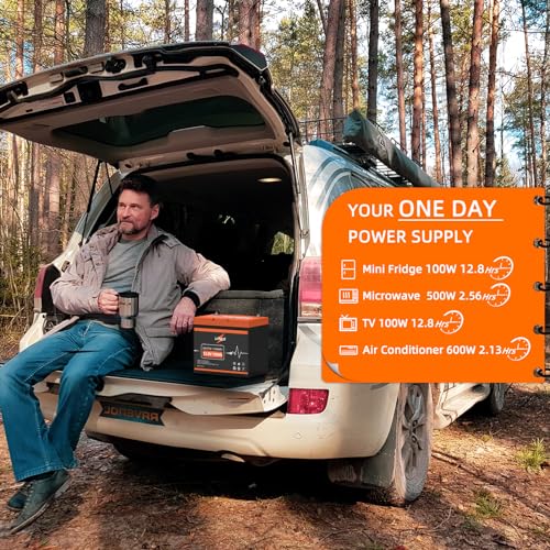 LIPULS 12V 100Ah LiFePO4 Lithium Battery (1-Pack), 4000~15000 Deep Cycle Lithium Iron Phosphate Battery, Built-in 100A BMS, Support in Series/Parallel, for RV, Camping, Trolling Motor, Off-Grid System