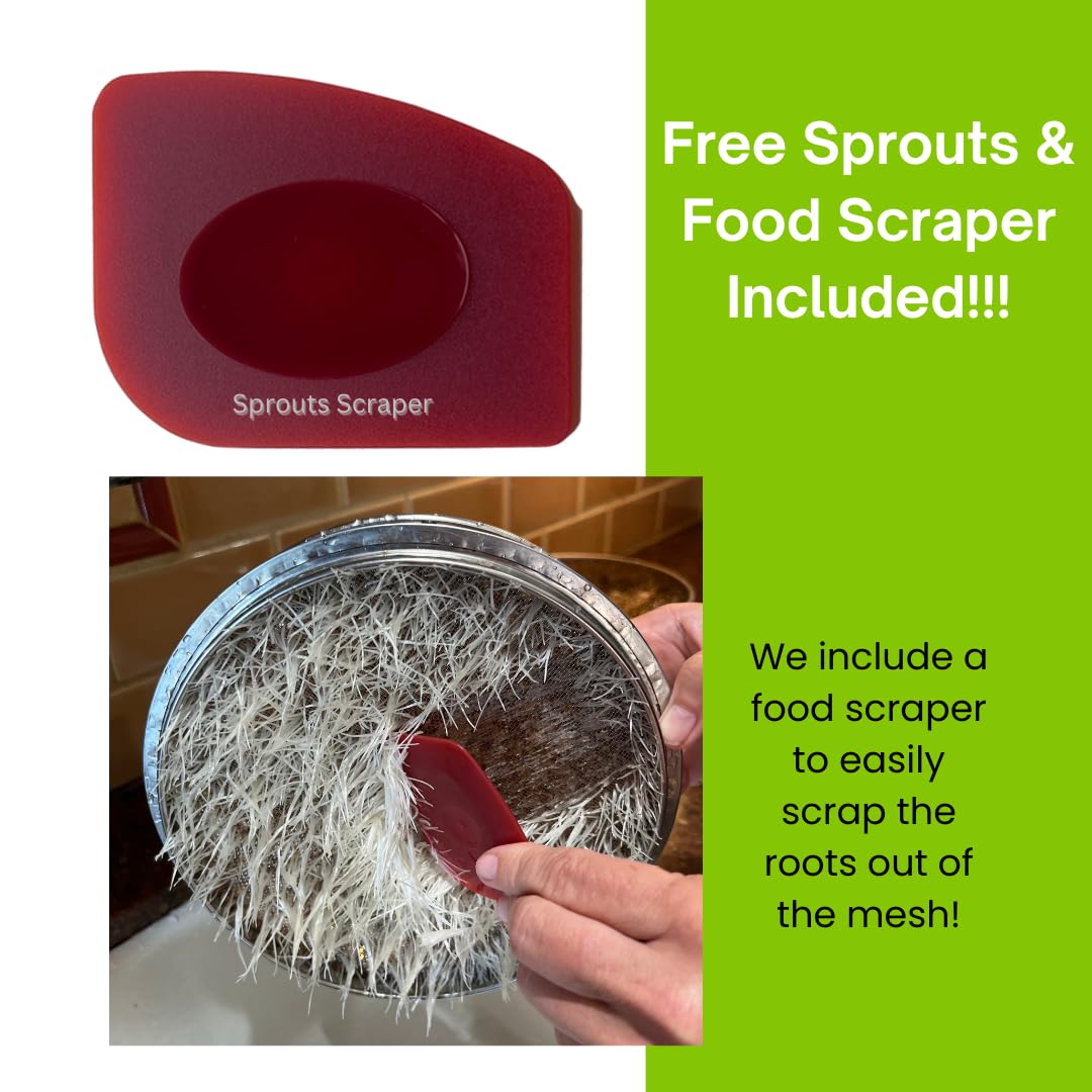 ZESTIGREENS Stainless Steel Seed Sprouter Kit - Stackable 3-Tier Seed Sprouting Germination Tray Seed Sprout Grower Maker with Lid for Growing Broccoli Alfalfa Mung Beans