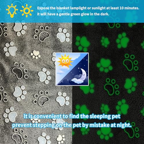Glow Waterproof Dog Blanket, Pattern Printing Super Soft Warm Fluffy Facecloth Sofa Car Bed Protector, Urine Proof Washable Outdoor Pet Blanket for Puppy Large Dogs & Cats(paw40*30)