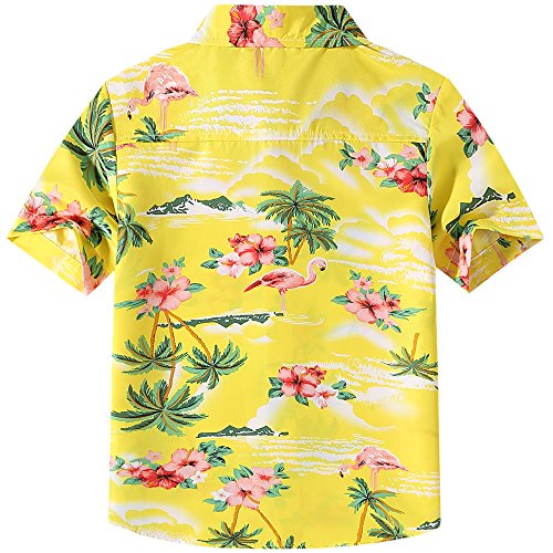 SSLR Big Boys Hawaiian Shirt Kids Flamingos Shirt Short Sleeve Luau Shirt (X-Small, Pink and Green)