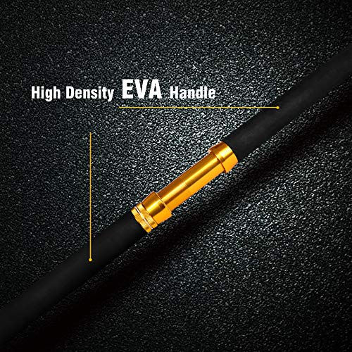 Fiblink Saltwater Fishing Trolling Rod 1 Piece/2 Piece Heavy Roller Rod Big Name Conventional Boat Fishing Pole with Roller Guides (1-Piece 5'6" 30-50lb)