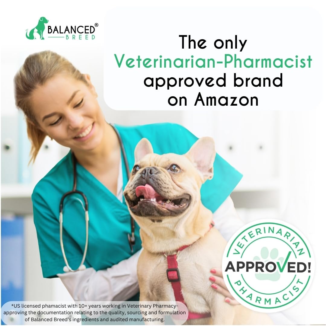 Balanced Breed Veterinarian Pharmacist Approved Pet Probiotics Dogs Digestive Health Natural Dog Probiotics Chew Dogs Itchy Skin Itchy Ears Enzymes Anti Diarrhea Senior Dog Probiotic Chews Made In USA