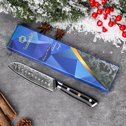 Sunnecko Damascus Chef Knife Japanese Santoku Knife 5 Inch Chopping Knife Vegetables, High Carbon Stainless Steel Knife with Gift Box