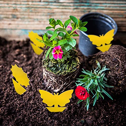 Fruit Fly Traps Fungus Gnat Traps Yellow Sticky Bug Traps 36 Pack Non-Toxic and Odorless for Indoor Outdoor Use Protect The Plant