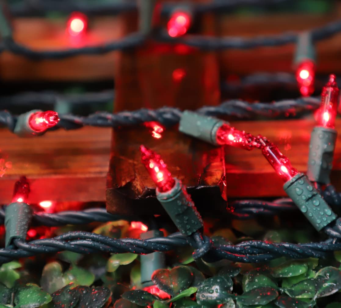 LAMPHOME Super-Bright Extendable Red Christmas Lights Decoration 100Lights 19.6ft UL Certified Mini Bulb String Lights Set for Outdoor Christmas Tree Garden Holiday Party Patio Wedding Garland Decor