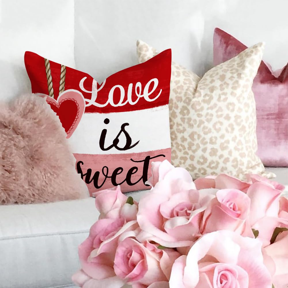 GEEORY Valentine's Day Throw Pillow Covers 18x18 Inch Set of 4, Valentines Red Hearts Love You More Decorative Farmhouse Holiday Cushion Case for Home Decoration G443-18